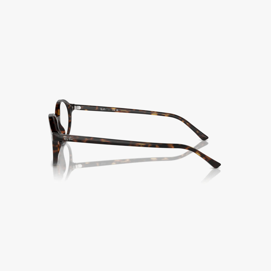Ray-Ban GERMAN - 2012 - Havana