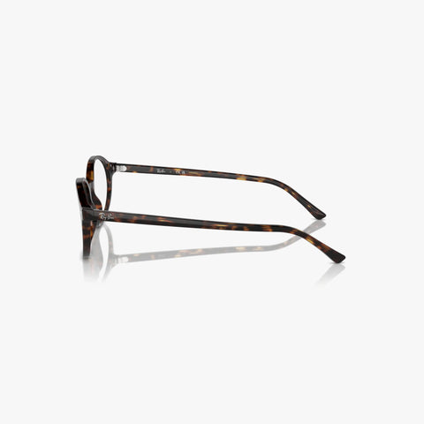 Ray-Ban GERMAN - 2012 havana rund brille