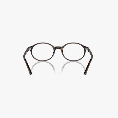 Ray-Ban GERMAN - 2012 havana rund brille