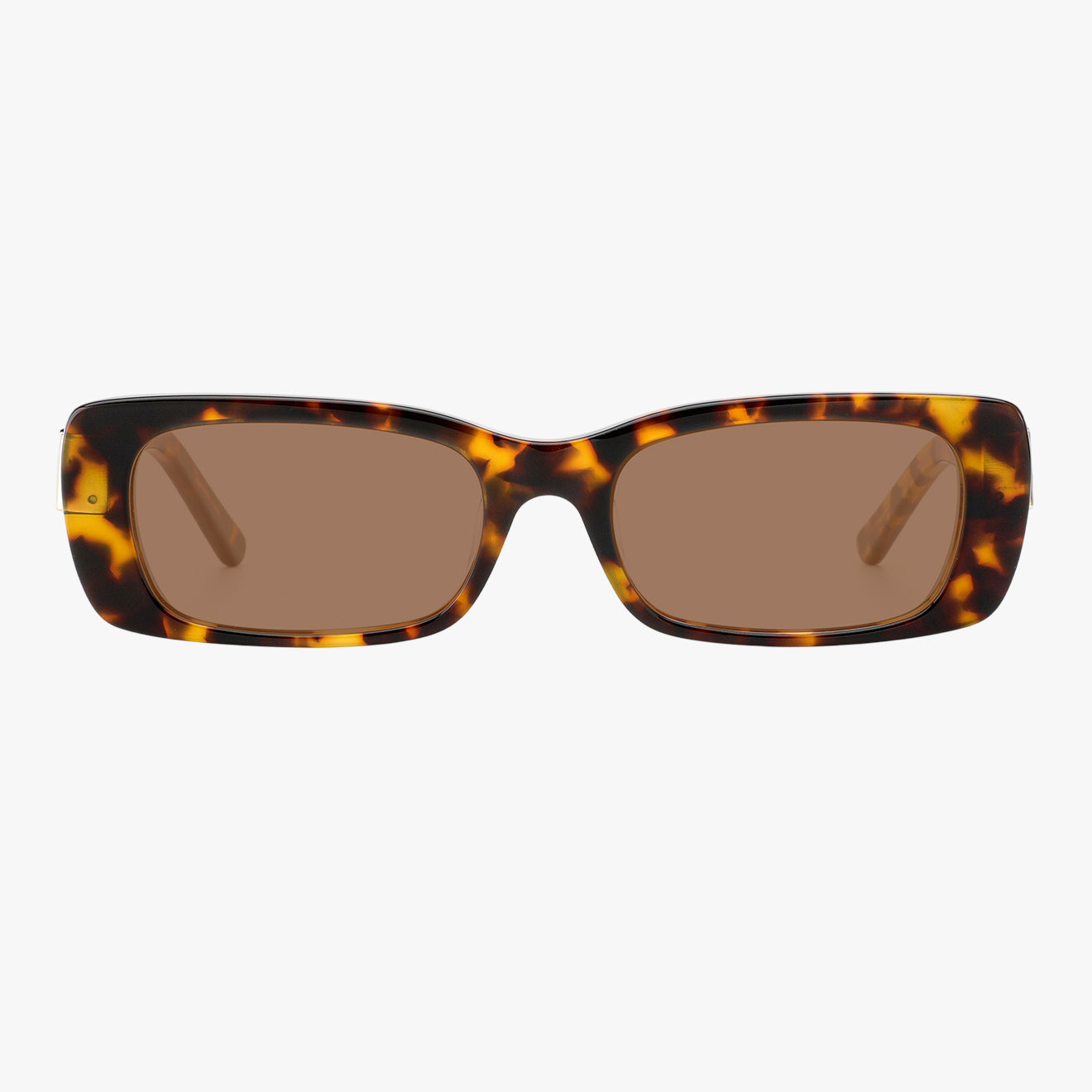 Marcellus - Tortoise