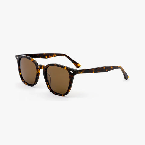 Clarion - Tortoise