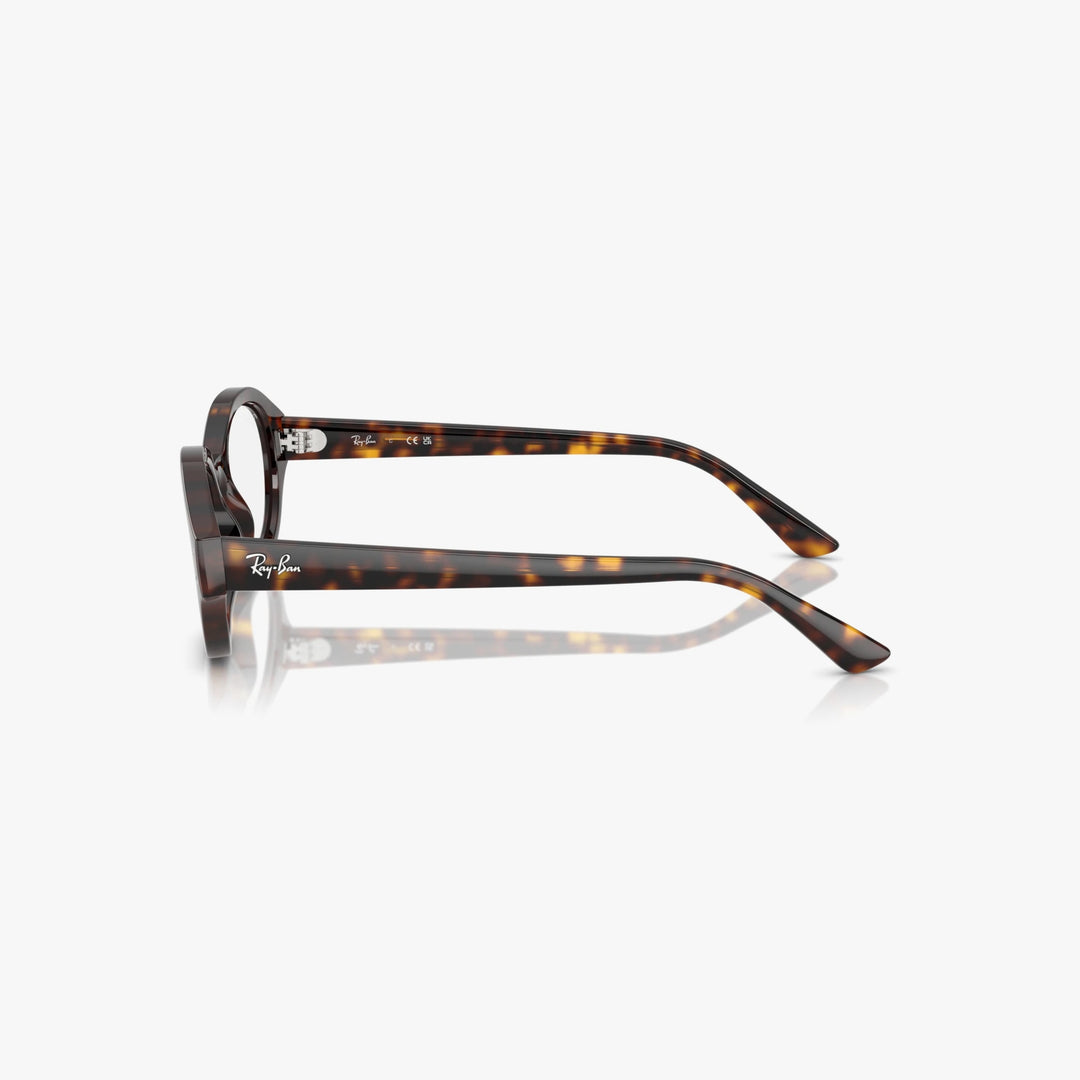 Ray-Ban SHILO - 8320 - Havana