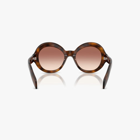 Prada PR D08SU - 20D70X - Tortoise