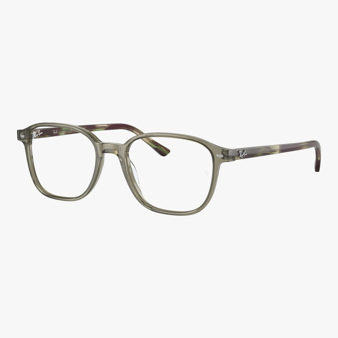 Ray-Ban LEONARD - 8178 - Transparent grøn