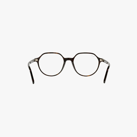 Ray-Ban THALIA - 2012 - Havana